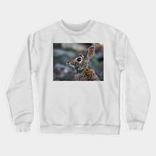 Hare today...gone tomorrow Crewneck Sweatshirt